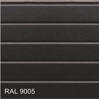 RAL 9005